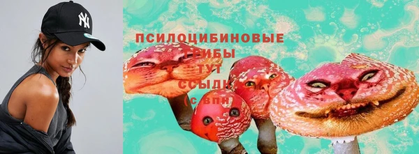 СК Баксан