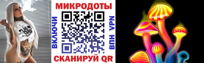 купить наркоту  Макарьев  дарк нет какой сайт  Псилоцибиновые грибы Psilocybe 